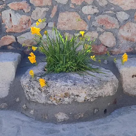 Casa De Calma - Grandpa's House Lägenhet Dhavgáta